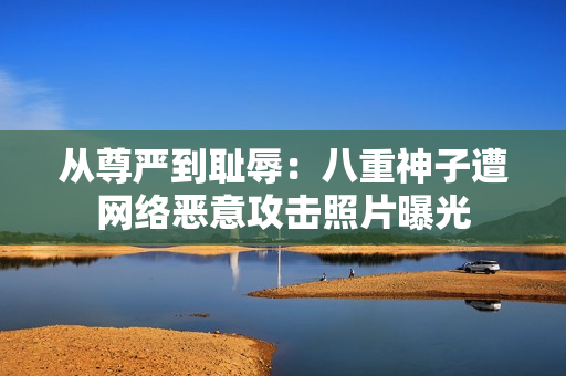 從尊嚴(yán)到恥辱：八重神子遭網(wǎng)絡(luò)惡意攻擊照片曝光