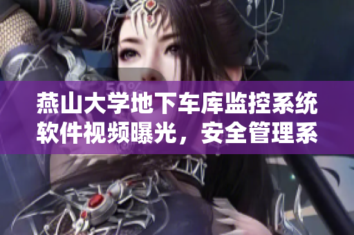 燕山大學地下車庫監(jiān)控系統(tǒng)軟件視頻曝光，安全管理系統(tǒng)引關(guān)注