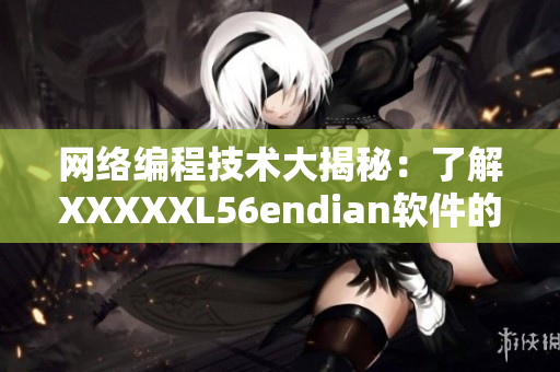 網(wǎng)絡(luò)編程技術(shù)大揭秘：了解XXXXXL56endian軟件的運行機制