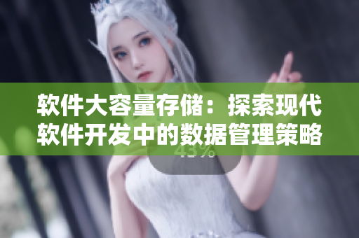 軟件大容量存儲(chǔ)：探索現(xiàn)代軟件開發(fā)中的數(shù)據(jù)管理策略