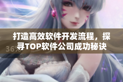 打造高效軟件開發(fā)流程，探尋TOP軟件公司成功秘訣