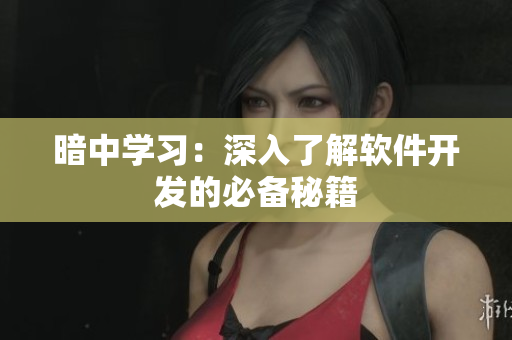 暗中學(xué)習(xí)：深入了解軟件開(kāi)發(fā)的必備秘籍
