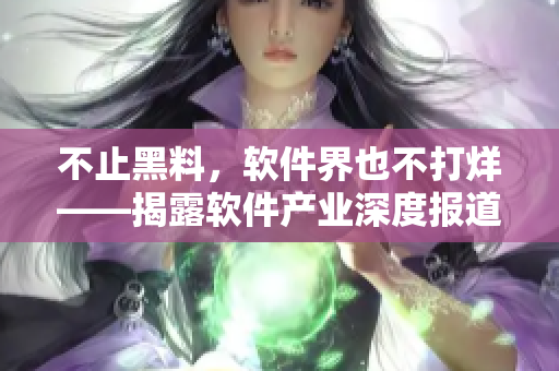 不止黑料，軟件界也不打烊——揭露軟件產(chǎn)業(yè)深度報(bào)道!