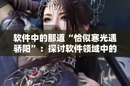 軟件中的那道“恰似寒光遇驕陽(yáng)”：探討軟件領(lǐng)域中的瓶頸挑戰(zhàn)，六52話