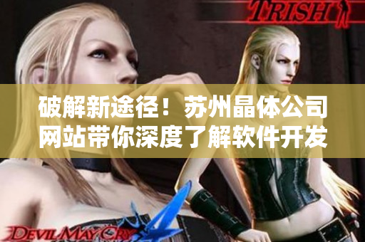 破解新途徑！蘇州晶體公司網(wǎng)站帶你深度了解軟件開發(fā)！