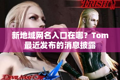 新地域網(wǎng)名入口在哪？Tom最近發(fā)布的消息披露