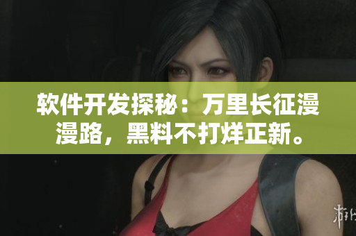 軟件開(kāi)發(fā)探秘：萬(wàn)里長(zhǎng)征漫漫路，黑料不打烊正新。