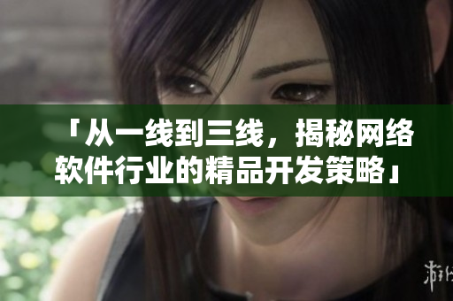 「從一線到三線，揭秘網(wǎng)絡(luò)軟件行業(yè)的精品開發(fā)策略」——一份深度報道