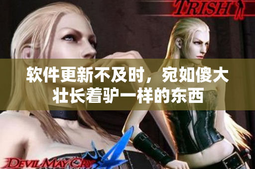 軟件更新不及時(shí)，宛如傻大壯長(zhǎng)著驢一樣的東西