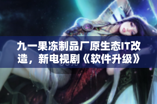 九一果凍制品廠原生態(tài)IT改造，新電視劇《軟件升級》即將上映