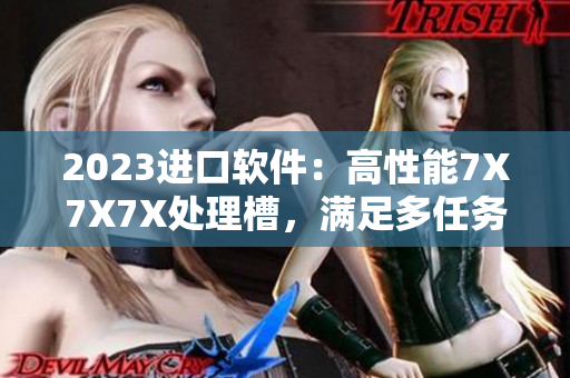 2023進口軟件：高性能7X7X7X處理槽，滿足多任務需求