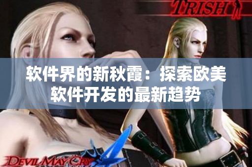 軟件界的新秋霞：探索歐美軟件開(kāi)發(fā)的最新趨勢(shì)