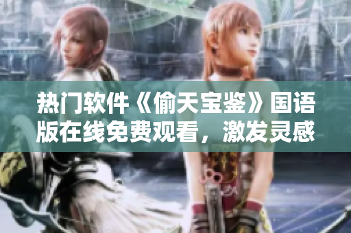 熱門軟件《偷天寶鑒》國語版在線免費觀看，激發(fā)靈感助您提升編程技能