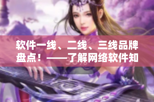 軟件一線、二線、三線品牌盤點！——了解網(wǎng)絡(luò)軟件知名品牌及市場占有率