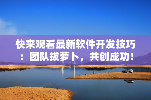 快來觀看最新軟件開發(fā)技巧：團(tuán)隊(duì)拔蘿卜，共創(chuàng)成功！