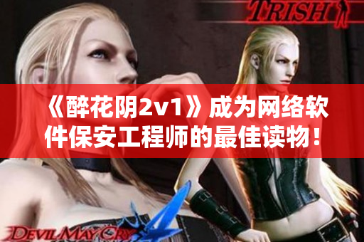 《醉花陰2v1》成為網(wǎng)絡(luò)軟件保安工程師的最佳讀物！