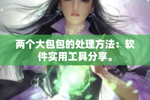 兩個(gè)大包包的處理方法：軟件實(shí)用工具分享。