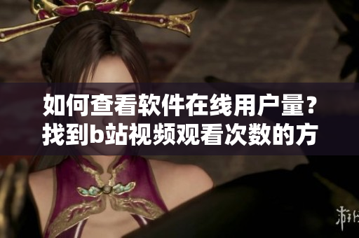 如何查看軟件在線用戶量？找到b站視頻觀看次數(shù)的方法