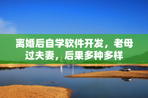 離婚后自學(xué)軟件開發(fā)，老母過夫妻，后果多種多樣