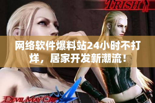網(wǎng)絡(luò)軟件爆料站24小時不打烊，居家開發(fā)新潮流！