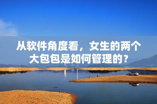 從軟件角度看，女生的兩個大包包是如何管理的？