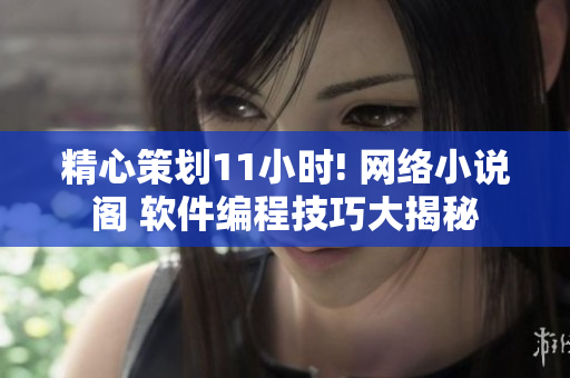 精心策劃11小時(shí)! 網(wǎng)絡(luò)小說閣 軟件編程技巧大揭秘