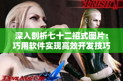 深入剖析七十二招式圖片：巧用軟件實現(xiàn)高效開發(fā)技巧