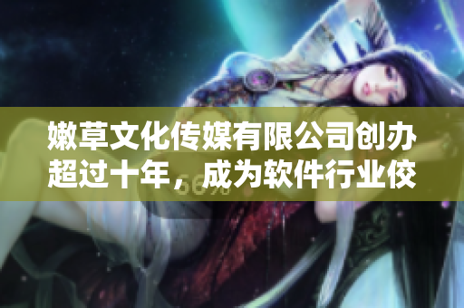 嫩草文化傳媒有限公司創(chuàng)辦超過十年，成為軟件行業(yè)佼佼者