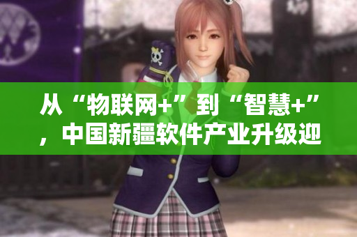 從“物聯(lián)網(wǎng)+”到“智慧+”，中國新疆軟件產(chǎn)業(yè)升級迎來新機遇