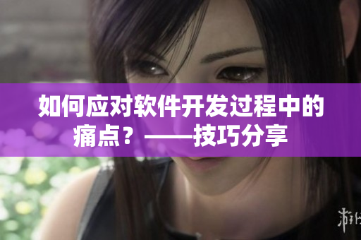 如何應(yīng)對(duì)軟件開(kāi)發(fā)過(guò)程中的痛點(diǎn)？——技巧分享