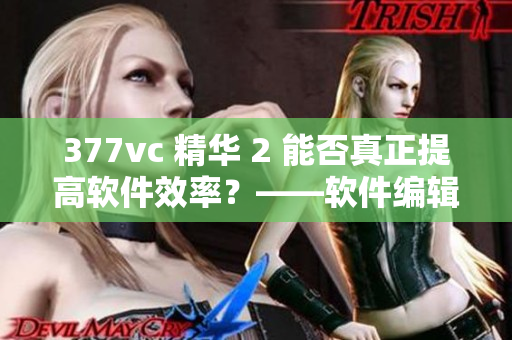 377vc 精華 2 能否真正提高軟件效率？——軟件編輯分析