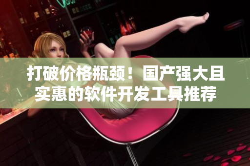 打破價格瓶頸！國產(chǎn)強(qiáng)大且實惠的軟件開發(fā)工具推薦