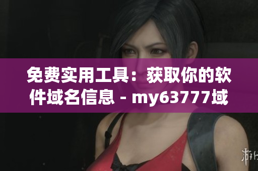 免費實用工具：獲取你的軟件域名信息 - my63777域名查詢