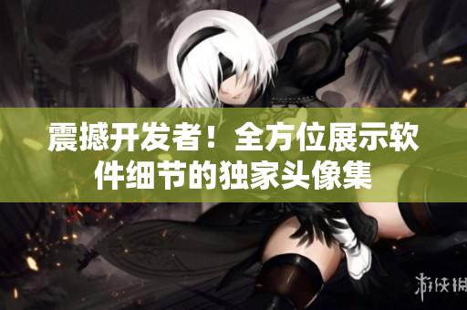震撼開發(fā)者！全方位展示軟件細(xì)節(jié)的獨家頭像集