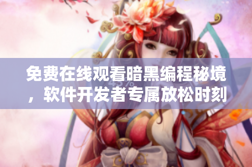 免費(fèi)在線觀看暗黑編程秘境，軟件開發(fā)者專屬放松時刻