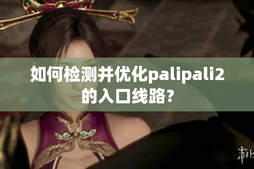 如何檢測并優(yōu)化palipali2的入口線路？
