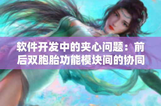 軟件開發(fā)中的夾心問題：前后雙胞胎功能模塊間的協(xié)同設計