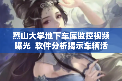 燕山大學(xué)地下車庫監(jiān)控視頻曝光  軟件分析揭示車輛活動模式