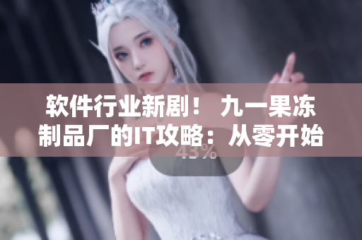 軟件行業(yè)新?。?九一果凍制品廠的IT攻略：從零開始寫出完美軟件
