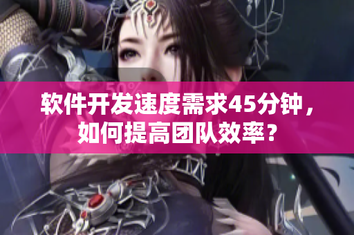 軟件開發(fā)速度需求45分鐘，如何提高團隊效率？