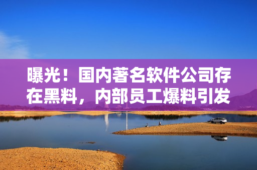曝光！國內著名軟件公司存在黑料，內部員工爆料引發(fā)關注