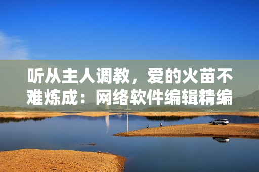 聽從主人調(diào)教，愛的火苗不難煉成：網(wǎng)絡(luò)軟件編輯精編43篇心得分享