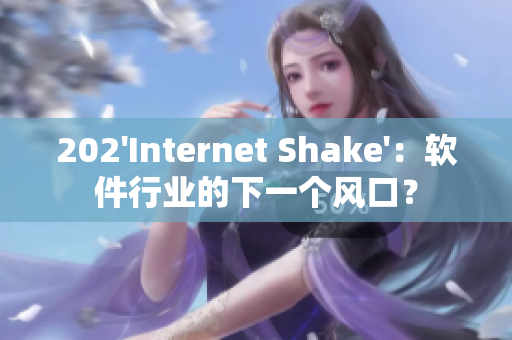 202'Internet Shake'：軟件行業(yè)的下一個風(fēng)口？