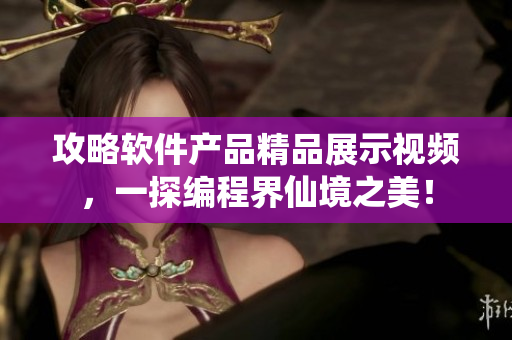 攻略軟件產(chǎn)品精品展示視頻，一探編程界仙境之美！