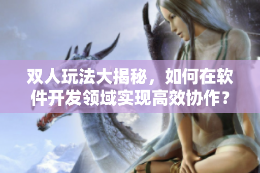 雙人玩法大揭秘，如何在軟件開發(fā)領(lǐng)域?qū)崿F(xiàn)高效協(xié)作？