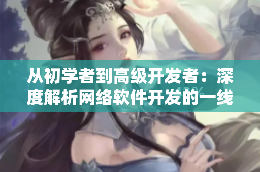 從初學(xué)者到高級開發(fā)者：深度解析網(wǎng)絡(luò)軟件開發(fā)的一線、二線、三線應(yīng)用