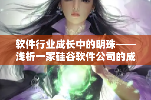 軟件行業(yè)成長中的明珠——淺析一家硅谷軟件公司的成功之路
