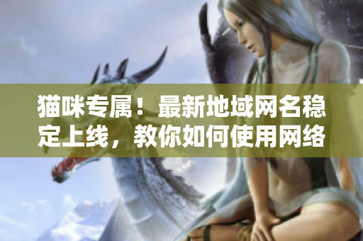 貓咪專屬！最新地域網(wǎng)名穩(wěn)定上線，教你如何使用網(wǎng)絡(luò)傳輸軟件連接