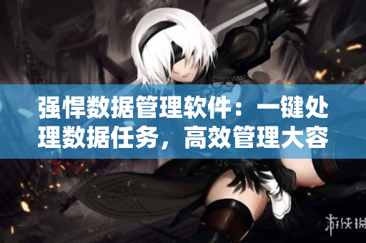 強(qiáng)悍數(shù)據(jù)管理軟件：一鍵處理數(shù)據(jù)任務(wù)，高效管理大容量數(shù)據(jù)