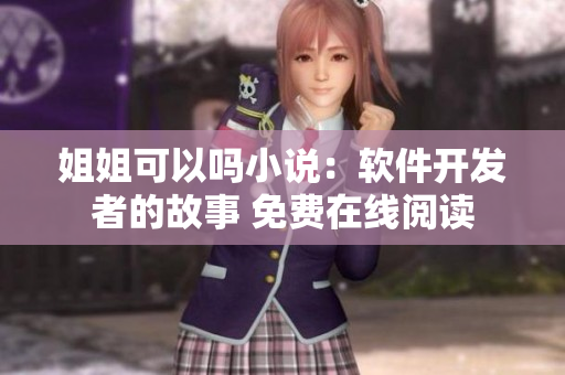姐姐可以嗎小說：軟件開發(fā)者的故事 免費在線閱讀